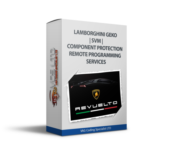 Lamborghini GeKo | SVM | Component Protection Remote Programming Services Image