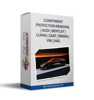 Component Protection Removal | Audi | Bentley | Cupra | Seat | Škoda | VW | VAG