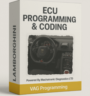 VAG Programming ECU Programming Lamborghini