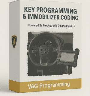 VAG Programming Key programming and immobilizer coding Lamborghini