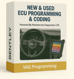 VAG Programming New and Used ECU Programming - Bentley