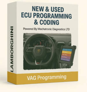 VAG Programming New and Used ECU Programming - LAMBORGHINI