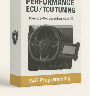 VAG Programming Performance ECU and TCU Tuning - Lamborghini