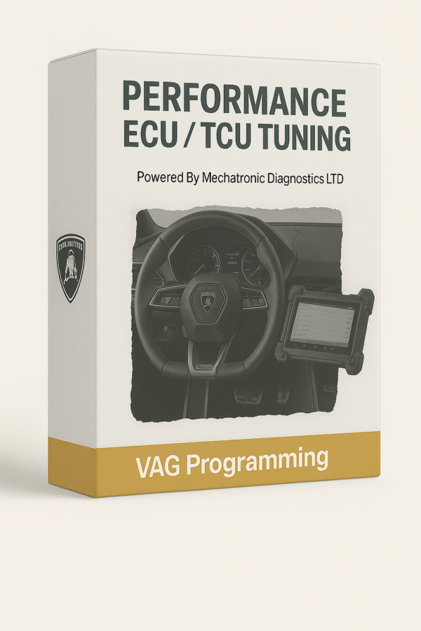 VAG Programming Performance ECU and TCU Tuning - Lamborghini
